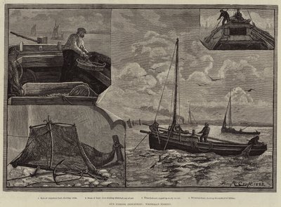 Nuestras Industrias Pesqueras, Pesca de Pejerrey de Percy Robert Craft